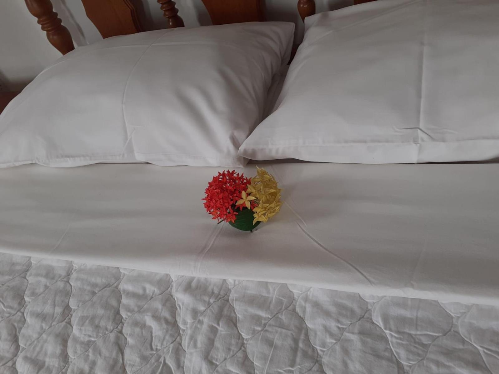 Gigi'S Self Catering Apartment 格劳德港 外观 照片